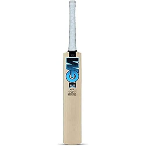 English Willow Bat with Premium Handle for Professional Play