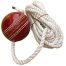 Ball for cricket to Elevate Your all Result