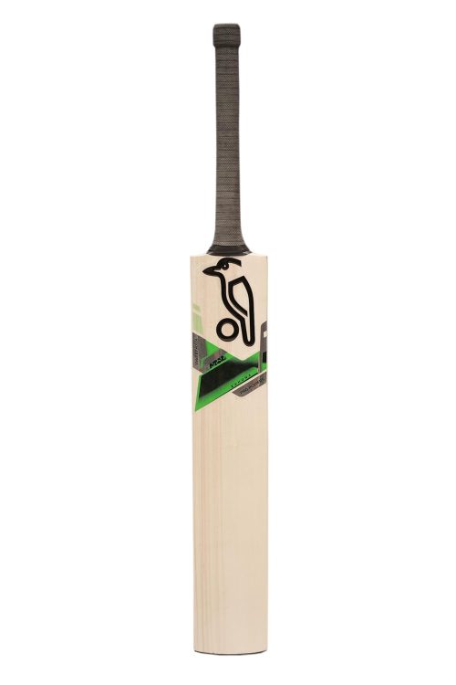 english willow cricket bat to Elevate Your Results